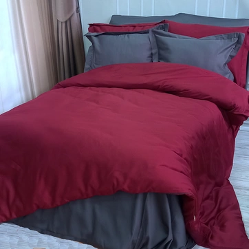Постельное белье ДУЕ ANTHRACITE/WINE BORDO Premium Сатин - Евро, фото 1