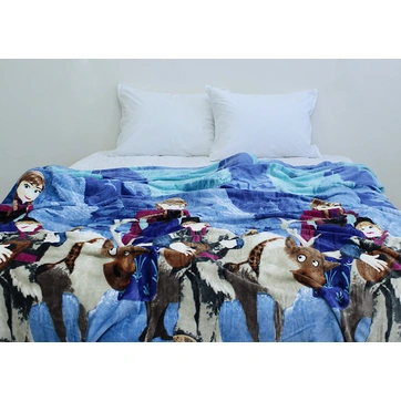 Плед велсофт (мікрофібра) VL101926, фото 1