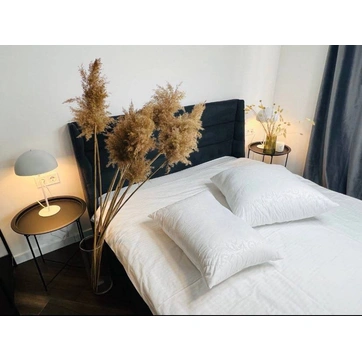 Подушки PREMIUM якості 50*70, фото 2