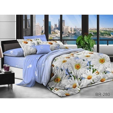 Комплект постільної білизни BR280, фото 1