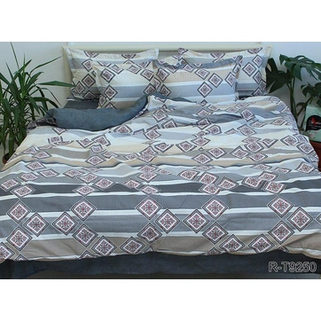 Комплект постельного белья с компаньоном R-T9250, фото 1