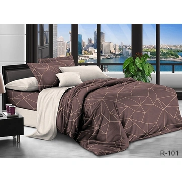 Комплект постільної білизни з компаньйоном R-101, фото 1