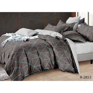 Комплект постільної білизни з компаньйоном R-2853, фото 1