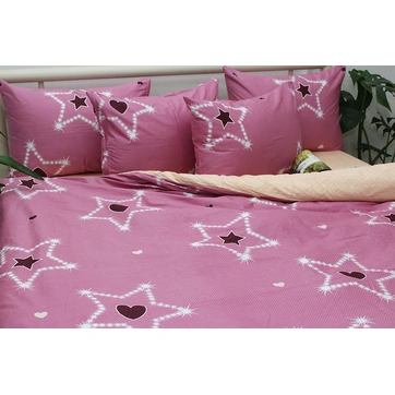 Комплект постільної білизни з компаньйоном S423, фото 1