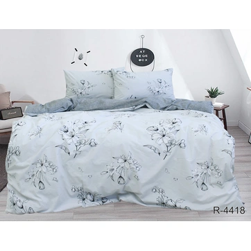 Комплект постельного белья с компаньоном R4418, фото 1
