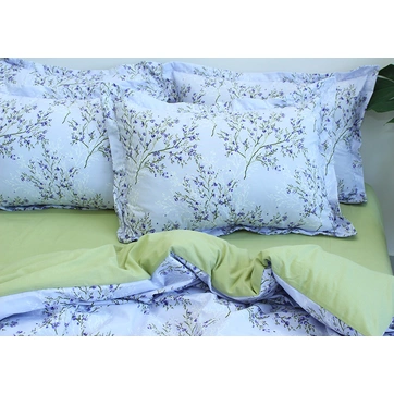 Комплект постільної білизни з компаньйоном R-T9251, фото 3