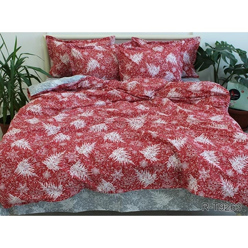 Комплект постельного белья с компаньоном R-T9263, фото 1