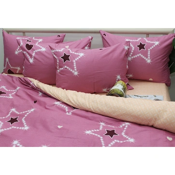 Комплект постільної білизни з компаньйоном S423, фото 2