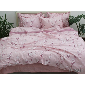 Комплект постільної білизни з компаньйоном R-T9241, фото 1