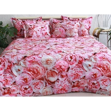 Комплект постільної білизни з компаньйоном (2-сп.) PT-003, фото 1