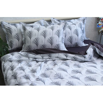 Комплект постільної білизни з компаньйоном (2-сп.) PT-023, фото 2