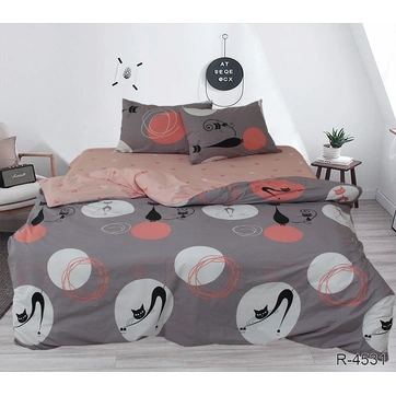 Комплект постельного белья с компаньоном R4531, фото 1