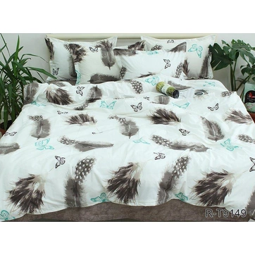 Комплект постільної білизни з компаньйоном R-T9149, фото 1