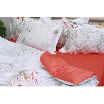 Комплект постільної білизни з компаньйоном (євро) PT-017, фото 3