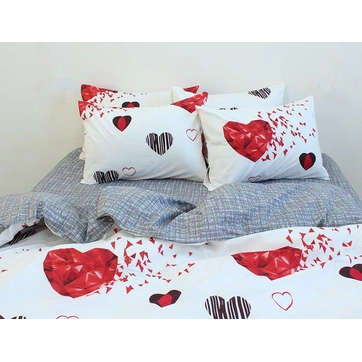 Комплект постільної білизни з компаньйоном R7634, фото 1