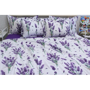 Комплект постільної білизни з компаньйоном R-T9268, фото 1