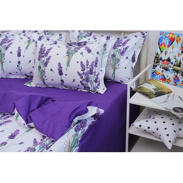 Комплект постільної білизни з компаньйоном R-T9268, фото 2