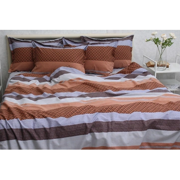 Комплект постільної білизни з компаньйоном R-T9275, фото 1