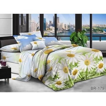 Комплект постельного белья BR-179, фото 1