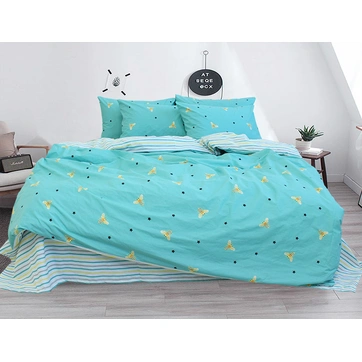 Комплект постільної білизни з компаньйоном R-V8161, фото 1