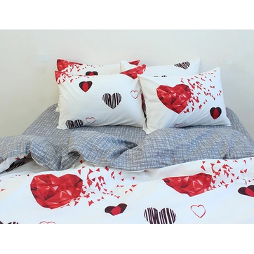Комплект постільної білизни з компаньйоном R7634, фото 1