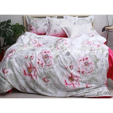 Комплект постільної білизни з компаньйоном (євро) PT-009, фото 1