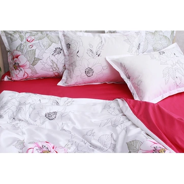 Комплект постільної білизни з компаньйоном (євро) PT-009, фото 3