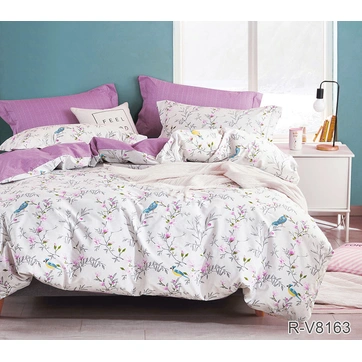 Комплект постільної білизни з компаньйоном R-V8163, фото 1