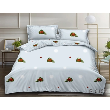 Комплект постельного белья R845b, фото 1