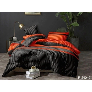 Комплект постельного белья с компаньоном R-24049, фото 1