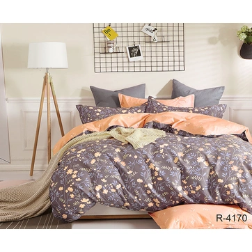 Комплект постільної білизни з компаньйоном R4170, фото 1