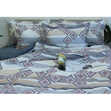 Комплект постільної білизни з компаньйоном R-T9250, фото 2