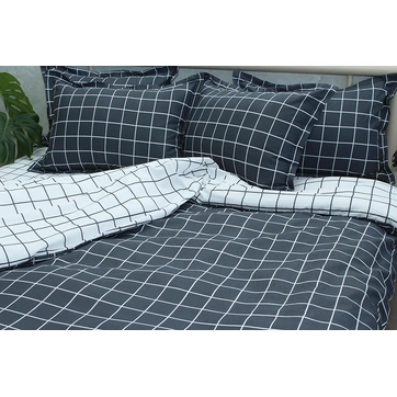 Комплект постільної білизни з компаньйоном R-T9266, фото 2