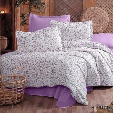 Комплект постільної білизни з компаньйоном R-T9173, фото 1