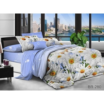 Комплект постільної білизни BR280, фото 1