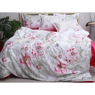 Комплект постільної білизни з компаньйоном (2-сп.) PT-009, фото 1